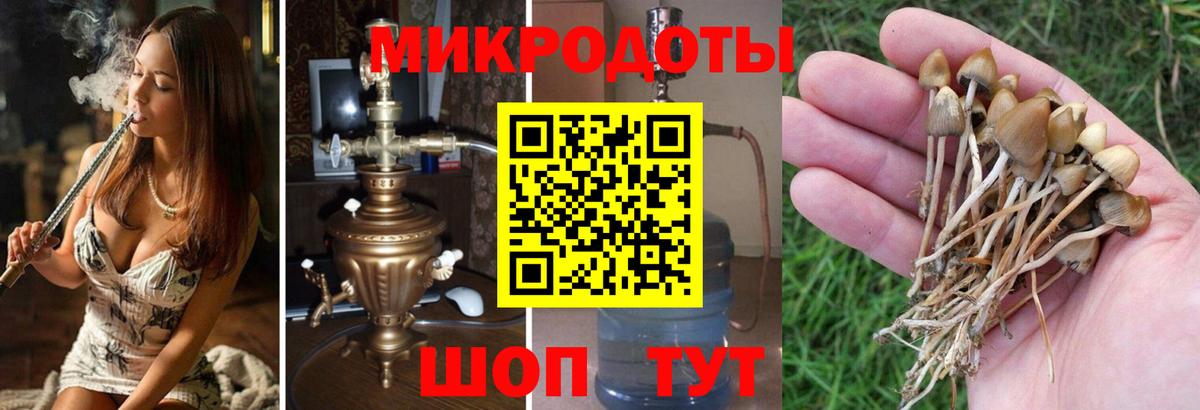 Псилоцибиновые грибы Magic Shrooms Сафоново